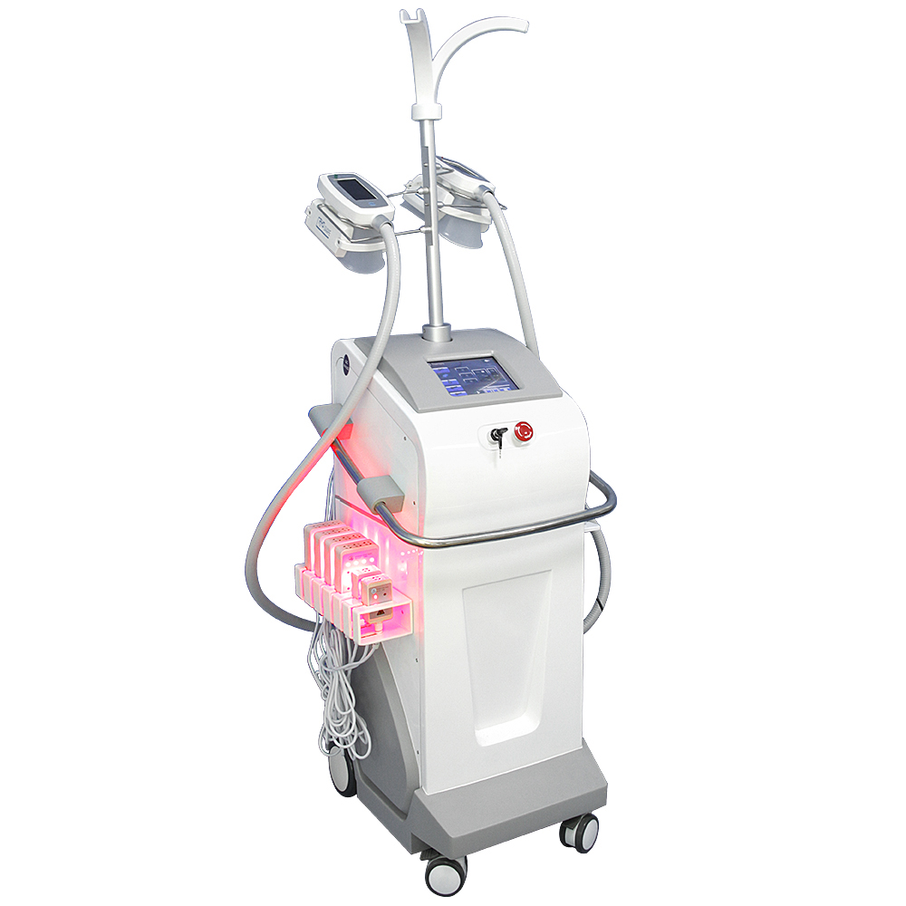 5 in 1 Cryolipolysis Fat Removal Equipment 5 in 1 Cryolipolysis Fat Removal Equipment